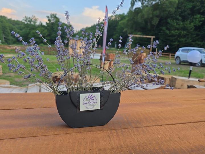 Cut lavender on one of the wooden tables